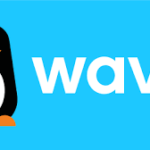 wave
